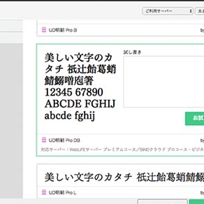 多彩なWEBフォントを利用可能
